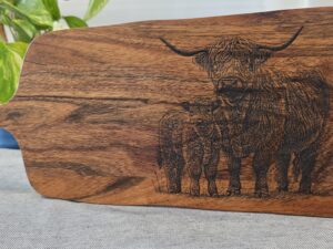 Paddle Highland Cows